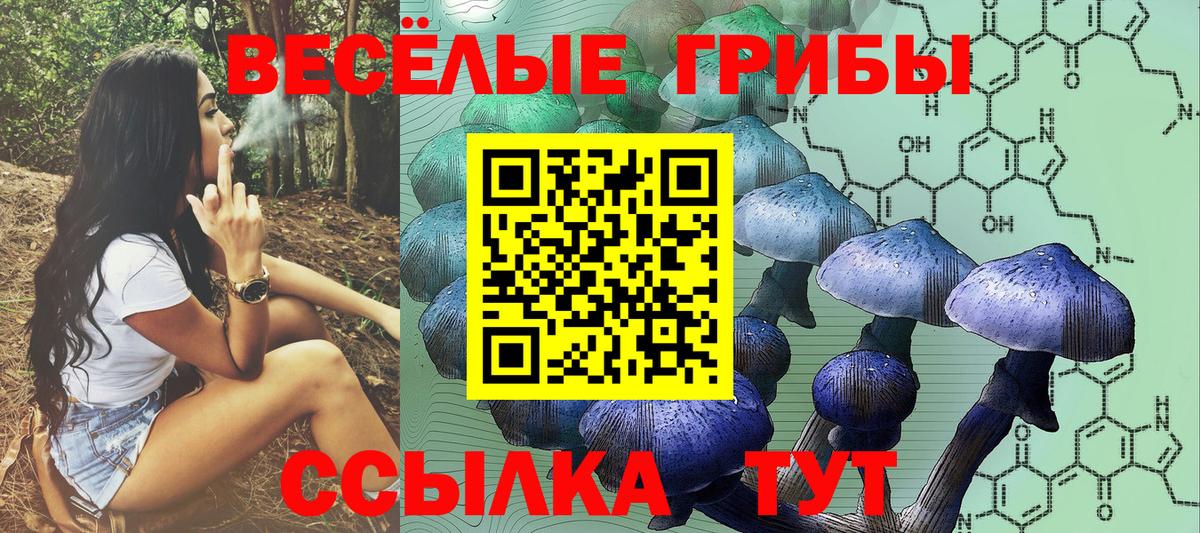 Псилоцибиновые грибы GOLDEN TEACHER  Вход с VPN  Малгобек 